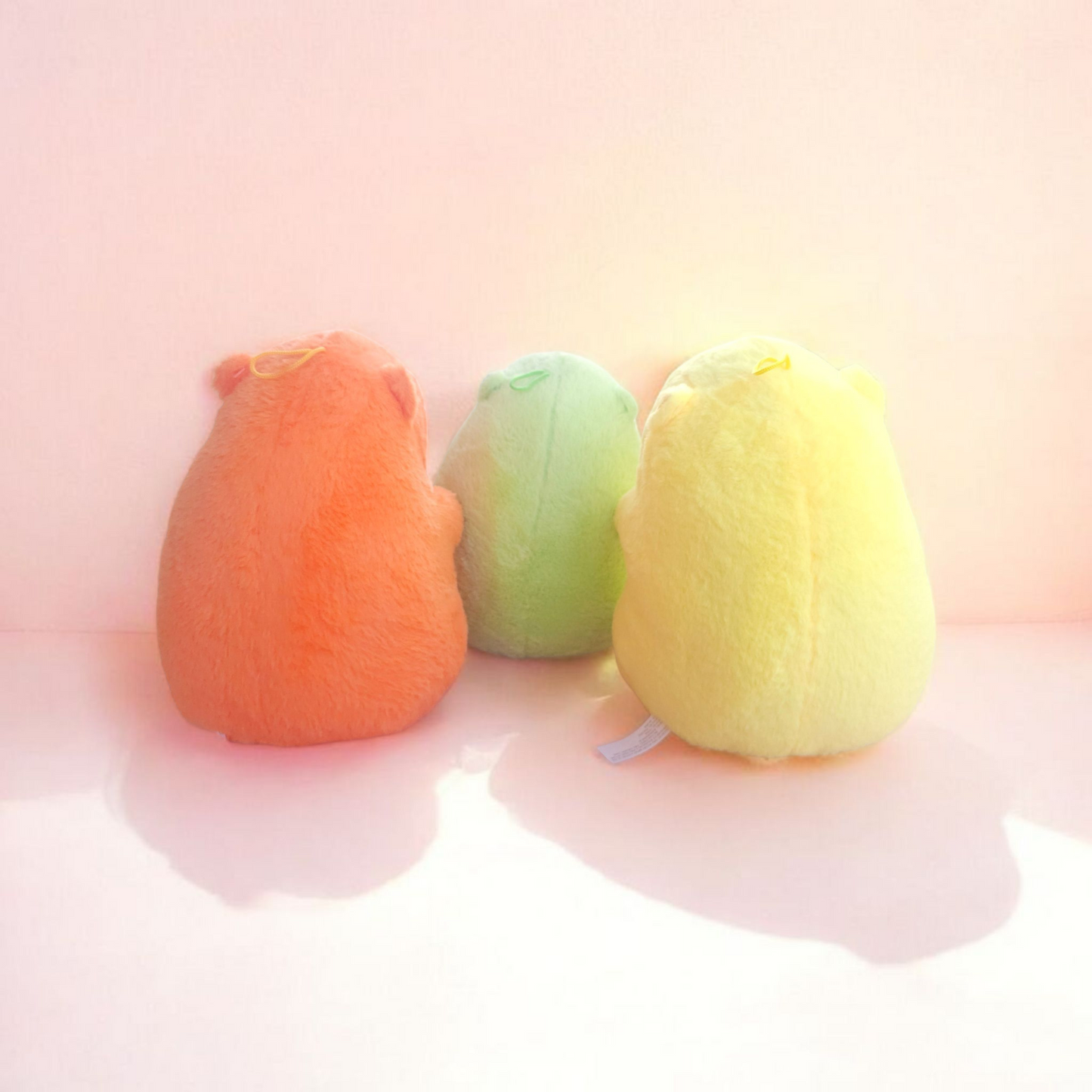 Capybara fruité 25cm