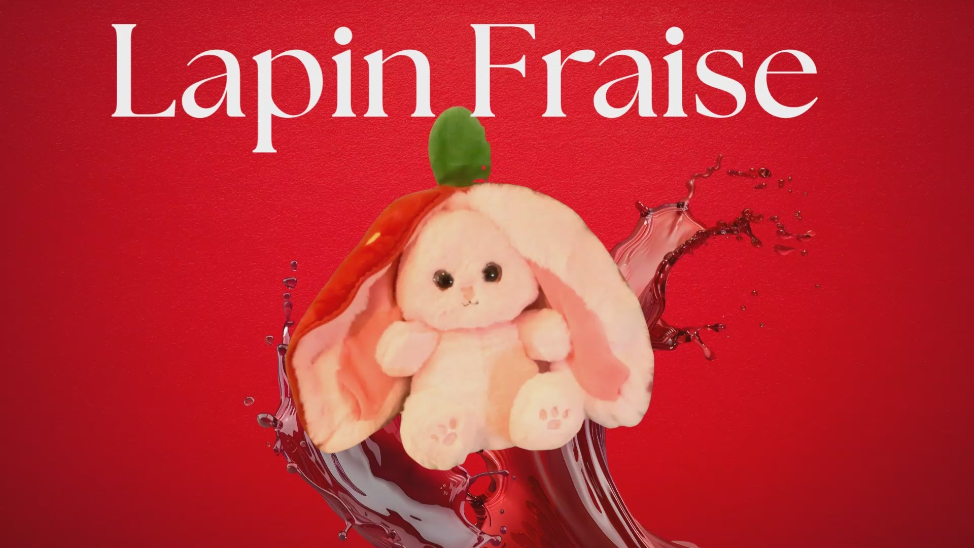 Charger la vidéo : 