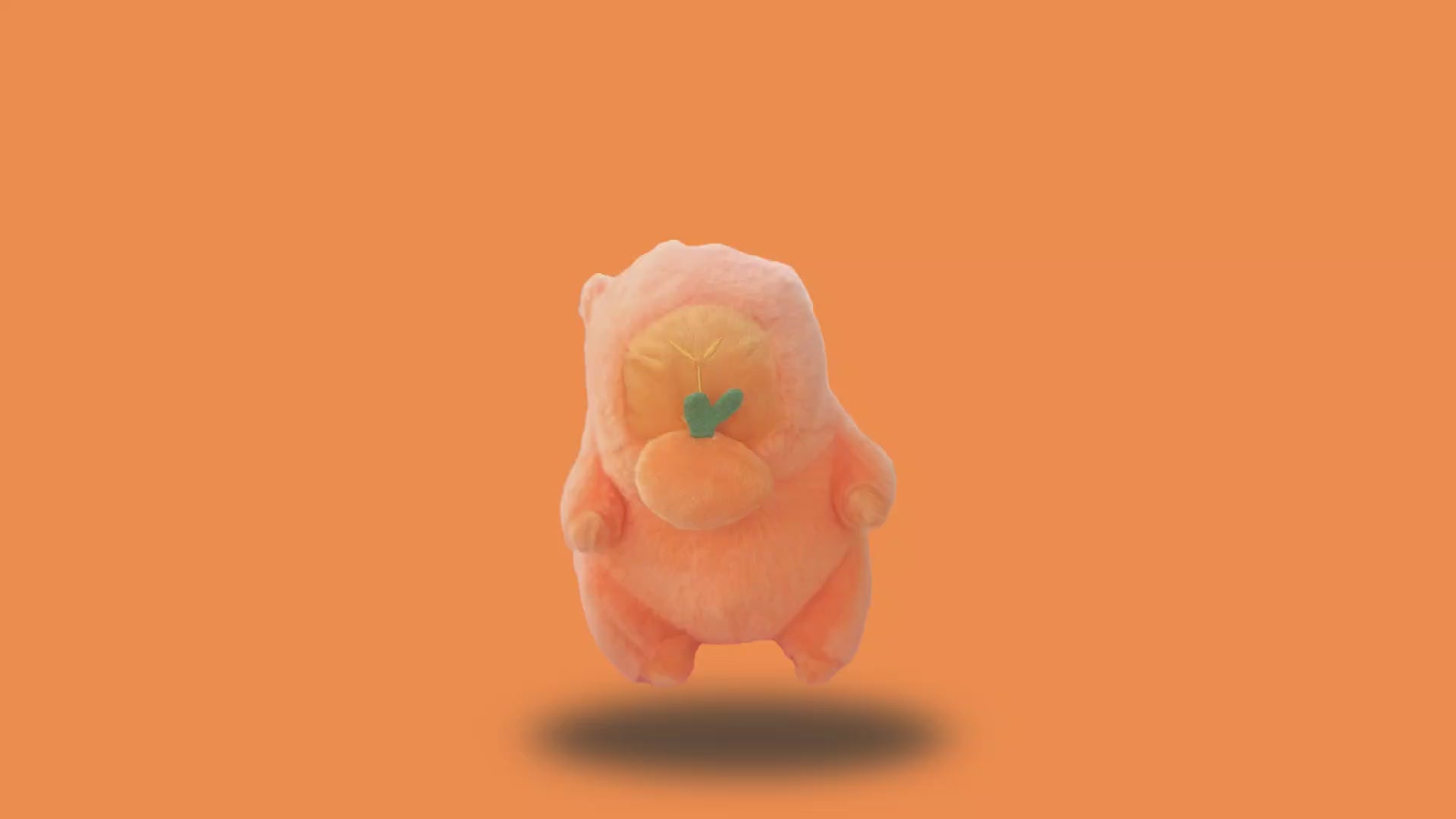 Charger la vidéo : 