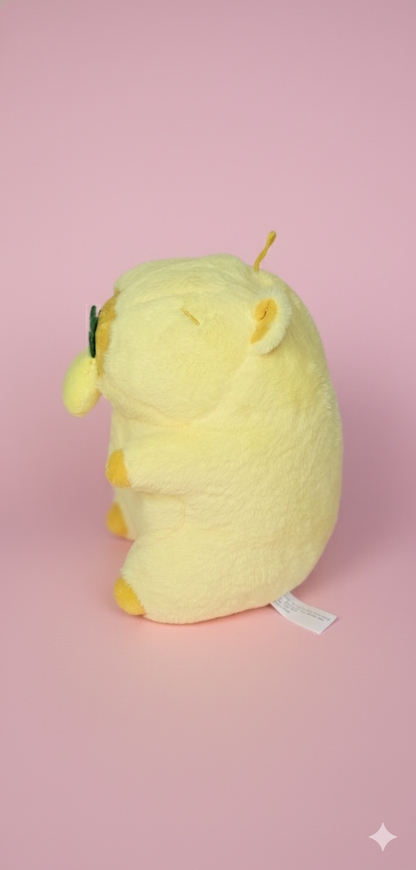 Capybara fruité 25cm